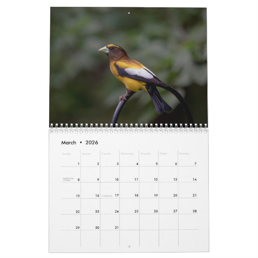 Vogels 2026 kalender (Mar 2026)