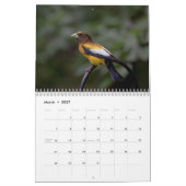 Vogels 2026 kalender (Mar 2027)