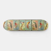 vogels 2 persoonlijk skateboard (Horizontaal)