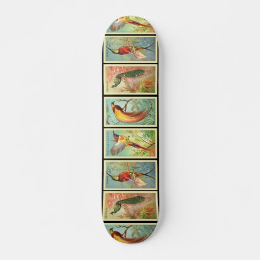 vogels 2 persoonlijk skateboard (Voorkant)