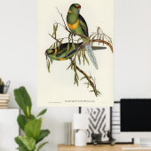 Vogels 2 poster (Thuiskantoor)