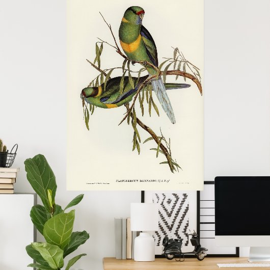 Vogels 2 poster (Thuiskantoor)