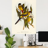 Vogels 3 poster (Thuiskantoor)