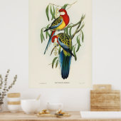 Vogels 4 poster (Keuken)