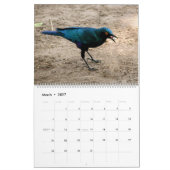VOGELS AFRIKA-kalender 2014 (twee bladzijden) Kalender (Mar 2027)