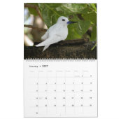 VOGELS AFRIKA-kalender 2014 (twee bladzijden) Kalender (Jan 2027)