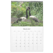 vogels australië top eind 2026 kalender (Mar 2027)