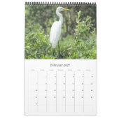 Vogels Australië Top End 2025 Kalender (Feb 2027)