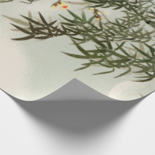 Vogels Bamboe Aziatisch Japans  Cadeaupapier (Hoek)