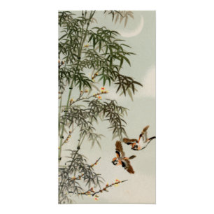 Vogels Bamboe Aziatisch Japans  Perfect Poster