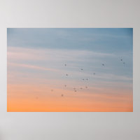 VOGELS BIJ DE BLAUW EN ORANJE HUID