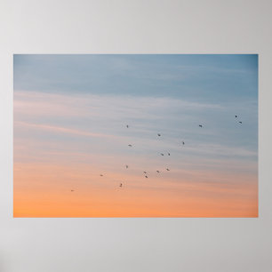 VOGELS BIJ DE BLAUW EN ORANJE HUID POSTER
