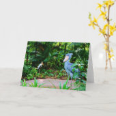 Vogels bij het Wenskaart van de Dierentuin van Kaart (Gele Bloem)