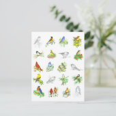 Vogels Blauwvogel Kardinaal Chickadee Ornithologie Briefkaart (Staand voorkant)