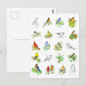 Vogels Blauwvogel Kardinaal Chickadee Ornithologie Briefkaart (Voorkant / Achterkant)