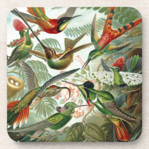 vogels bloemen bloem vogel natuur vintage schilder onderzetter