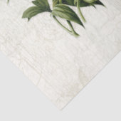  Vogels Botanische Bloemen Ephemera Decoupage Tissuepapier (Detail)