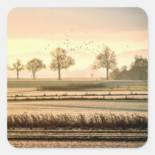 Vogels boven het grasland en weide vierkante sticker