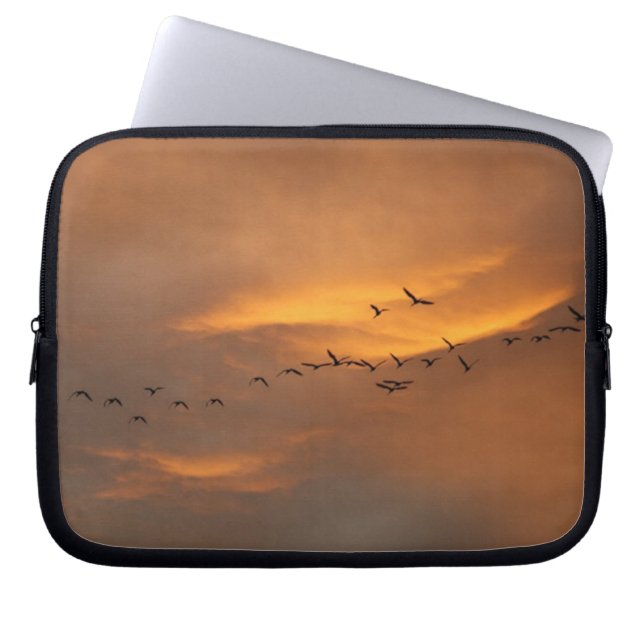 vogels boven san miguel de allende , mexico laptop sleeve (Voorkant)