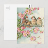 vogels briefkaart (Voorkant / Achterkant)