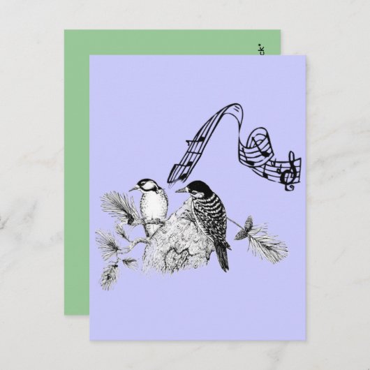 vogels briefkaart (Voorkant / Achterkant)