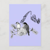 vogels briefkaart (Voorkant)