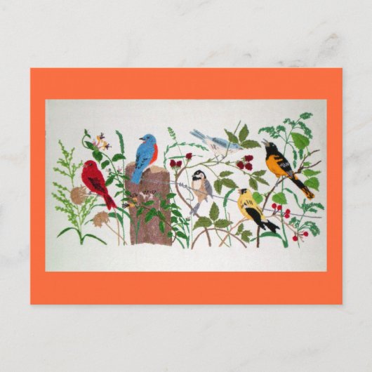 vogels briefkaart (Voorkant)