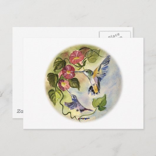 Vogels Briefkaart (Voorkant / Achterkant)