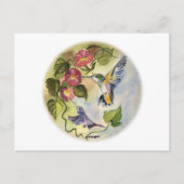 Vogels Briefkaart (Voorkant)