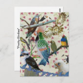  vogels briefkaart (Voorkant / Achterkant)