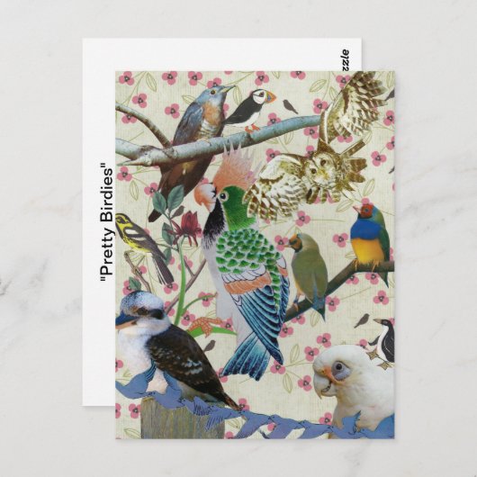 vogels briefkaart (Voorkant / Achterkant)