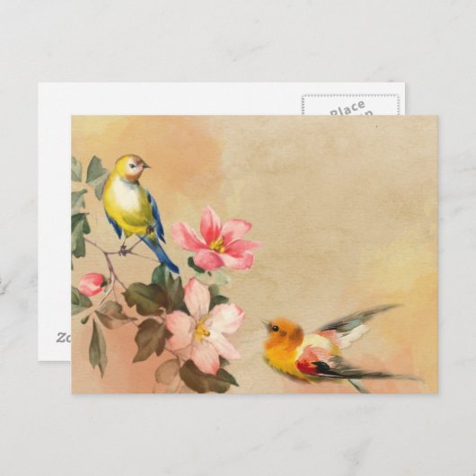 Vogels Briefkaart (Voorkant / Achterkant)