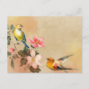 Vogels Briefkaart