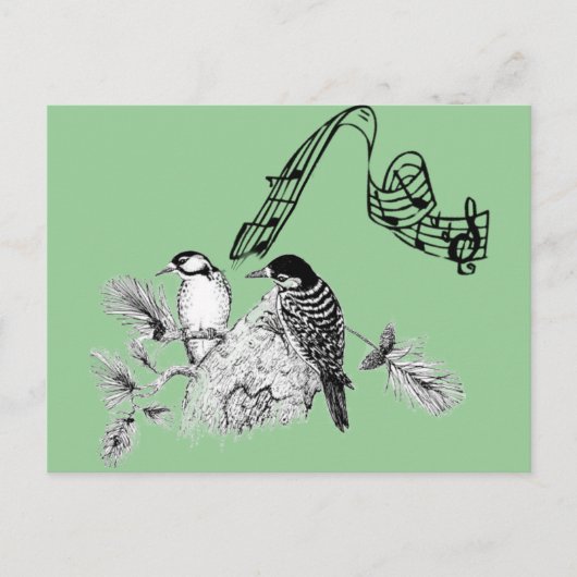 vogels briefkaart (Voorkant)