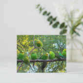 vogels briefkaart (Staand voorkant)