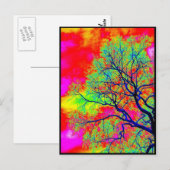 vogels briefkaart (Voorkant / Achterkant)