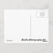 vogels briefkaart (Achterkant)