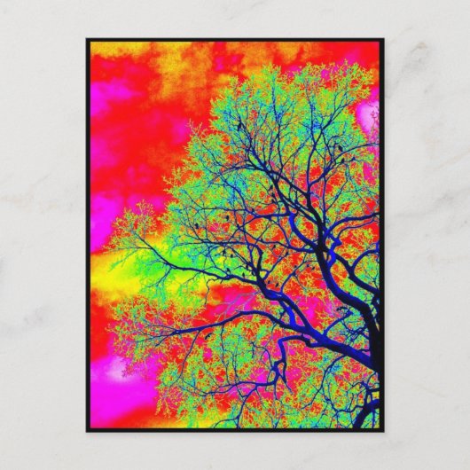 vogels briefkaart (Voorkant)