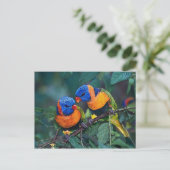 vogels briefkaart (Staand voorkant)