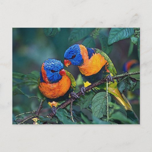 vogels briefkaart (Voorkant)