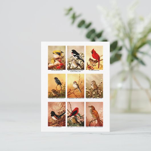 vogels briefkaart (Staand voorkant)