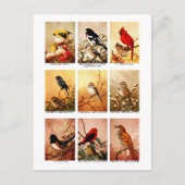 vogels briefkaart (Voorkant)