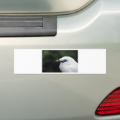 vogels bumpersticker (Op auto)