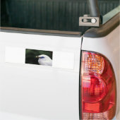 vogels bumpersticker (Op Truck)