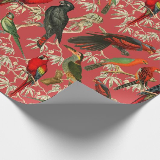  vogels cadeaupapier (Hoek)