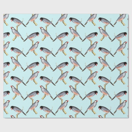 vogels cadeaupapier (Vlak)