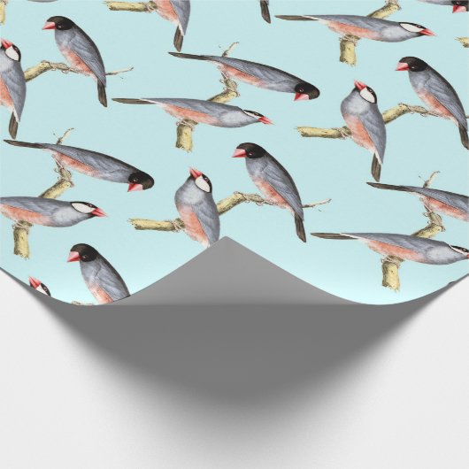 vogels cadeaupapier (Hoek)