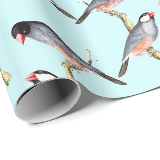 vogels cadeaupapier (Rol Hoek)