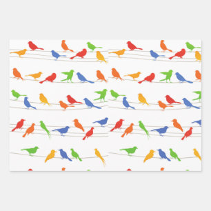 Vogels Cadeauverpakking Papier Blad. Inpakpapier Vel