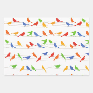 Vogels Cadeauverpakking Papier Blad. Inpakpapier Vel